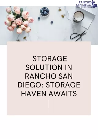 Storage Solution in Rancho San Diego Self Storage : Your Storage Haven Awaits