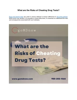 What are the Risks of Cheating Drug Tests