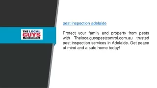 Pest Inspection Adelaide  Thelocalguyspestcontrol.com.au