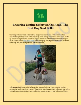Ensuring Canine Safety on the Road The Best Dog Seat Belts