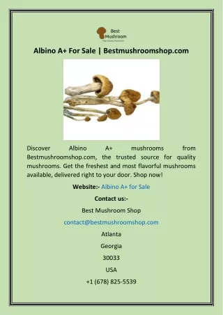 Albino A  For Sale  Bestmushroomshop