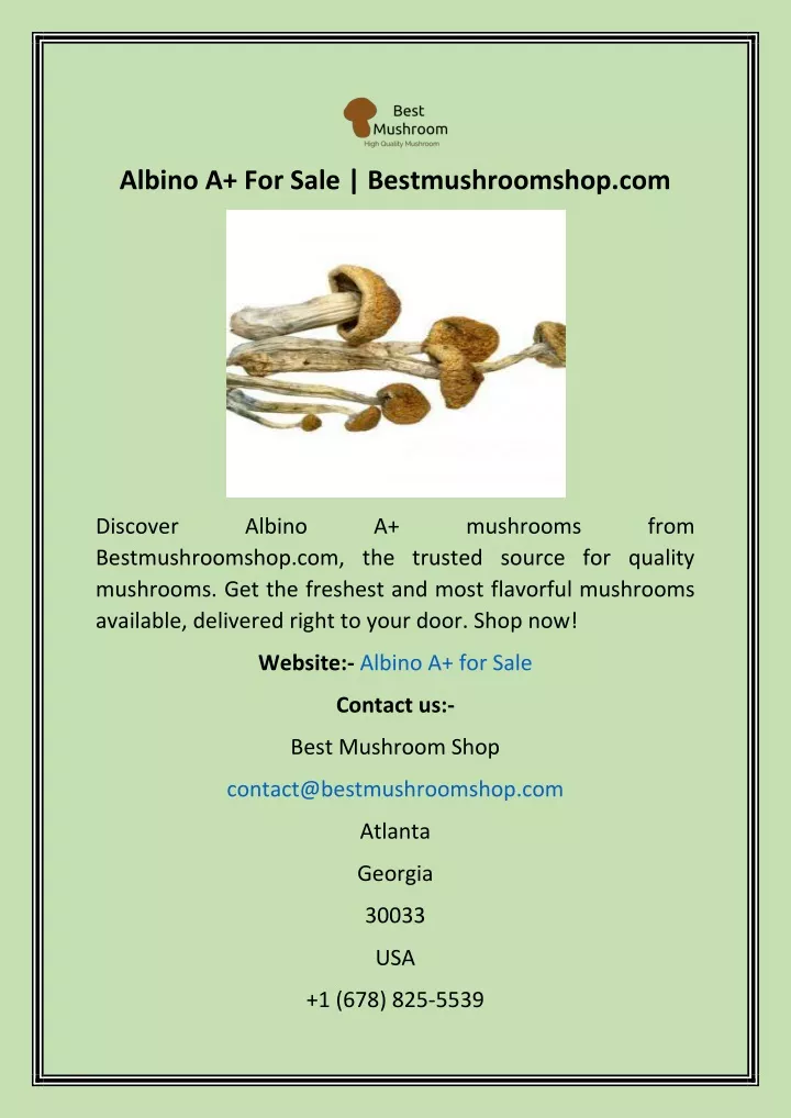 albino a for sale bestmushroomshop com