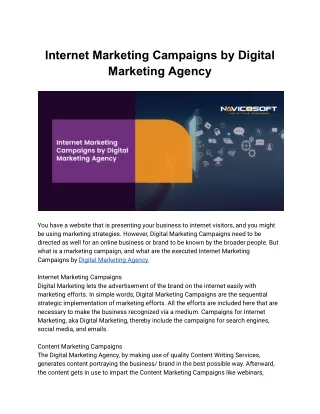 Internet Marketing Campaigns by Digital Marketing Agency