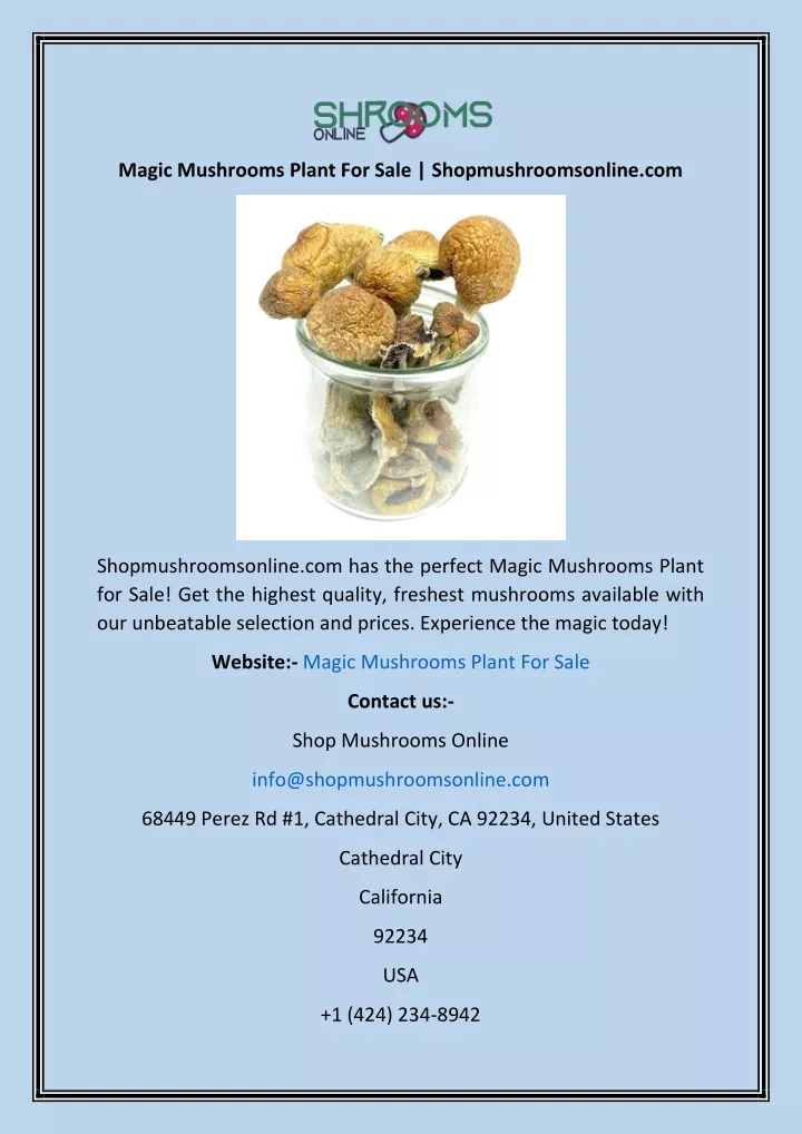 magic mushrooms plant for sale