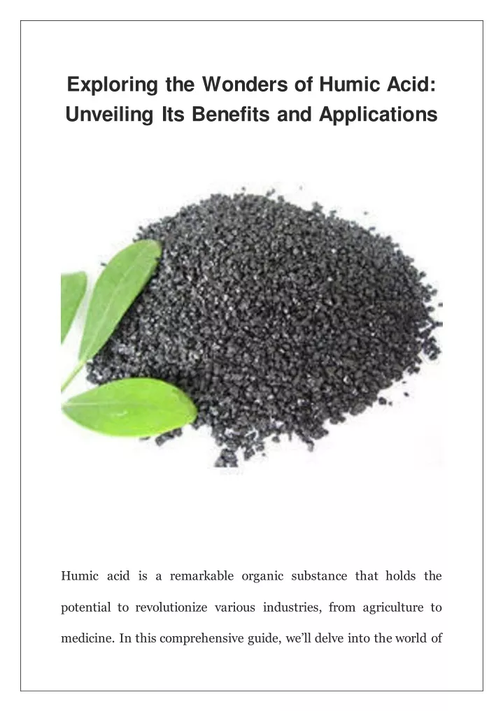 exploring the wonders of humic acid unveiling