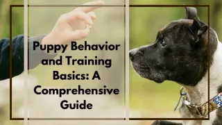 Techniques for Canine Obedience