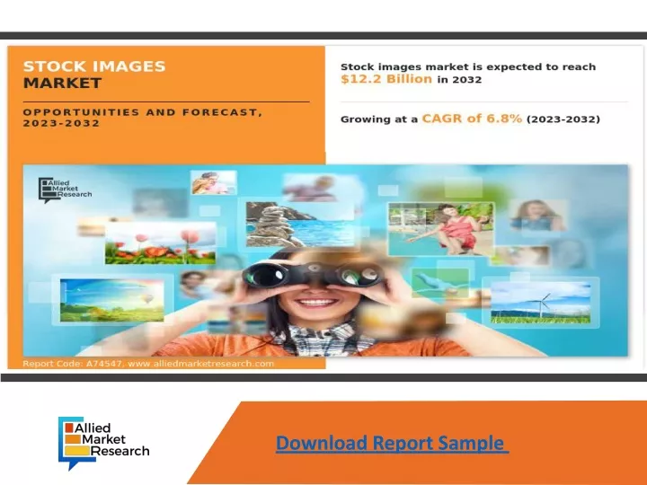 download report sample