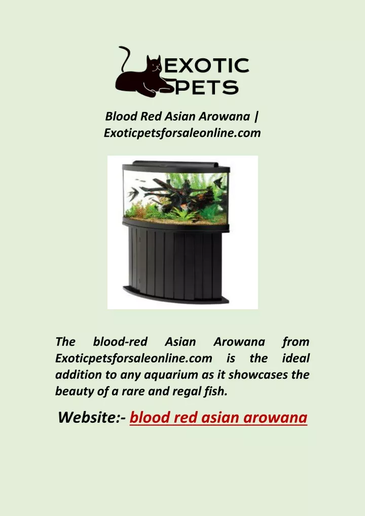 blood red asian arowana exoticpetsforsaleonline