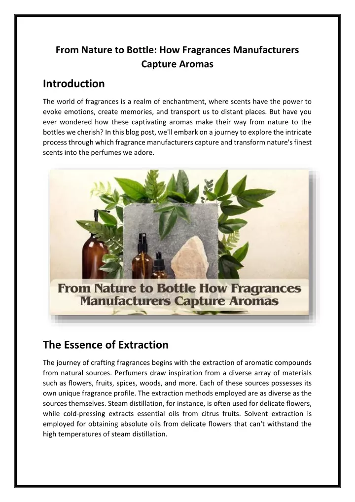 from nature to bottle how fragrances