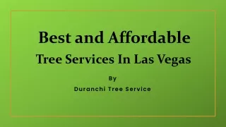 Best Tree Removal and Tree Trimming Las Vegas