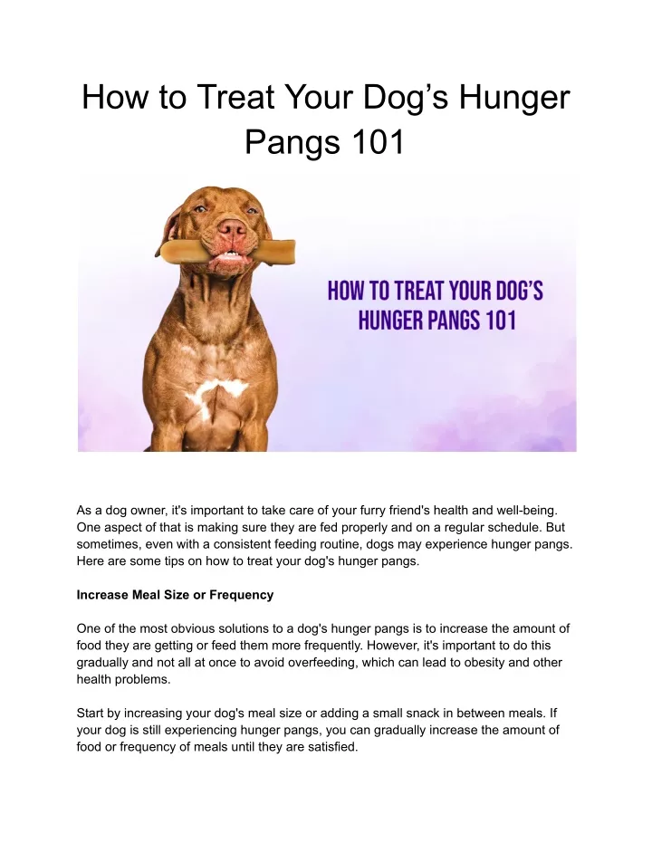 how to treat your dog s hunger pangs 101