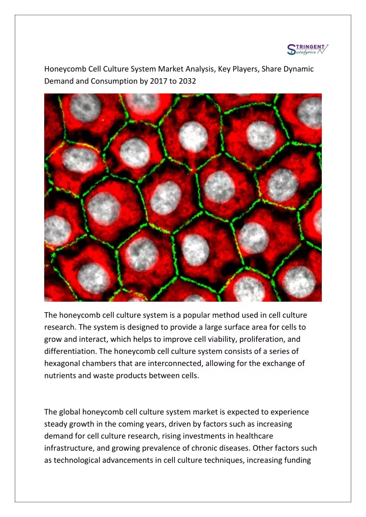 honeycomb cell culture system market analysis