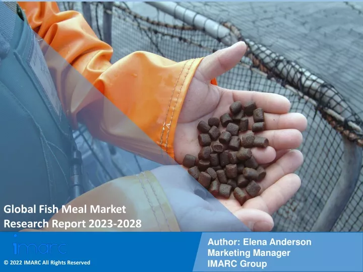 global fish meal market research report 2023 2028