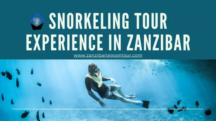snorkeling tour experience in zanzibar