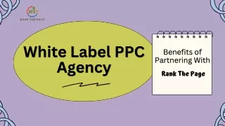 White Label PPC Agency : Benefits of Partnering With Rank The Page