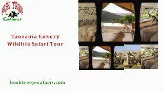 Tanzania Luxury Wildlife Safari Tour