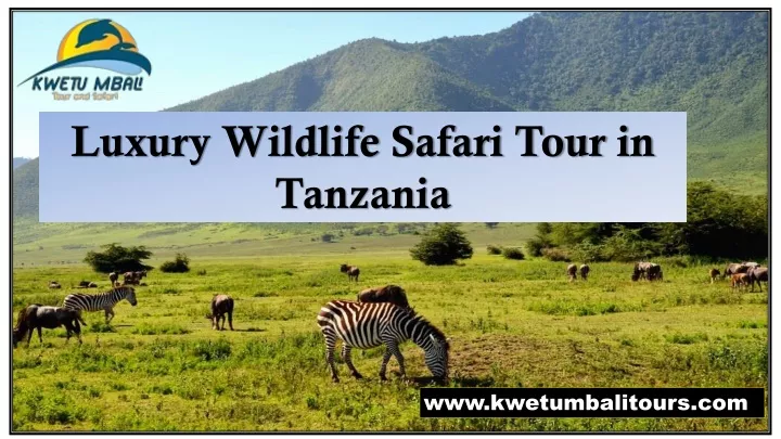luxury wildlife safari tour in tanzania