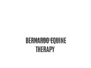 BERNARDO EQUINE THERAPY