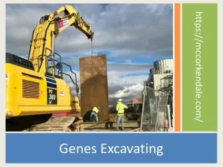 GENES EXCAVATING