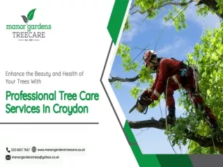 Enhance the Beauty and Health of Your Trees With Professional Tree Care Services in Croydon