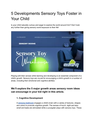 5 Developments Sensory Toys Foster in Your Child