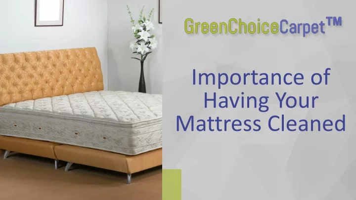 importance of having your mattress cleaned