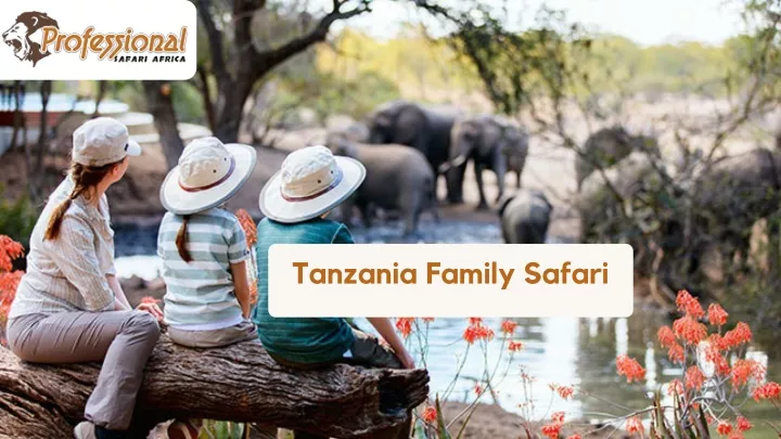 tanzania family safari