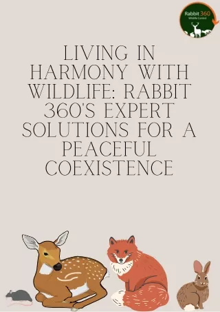 Living in Harmony with Wildlife Rabbit 360's Expert Solutions for a Peaceful Coexistence