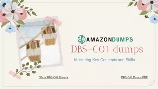 Embarking on the  DBS-CO1  Adventure to Navigating with Confidence and Precision