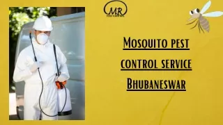 Mosquito pest control service Bhubaneswar (3)