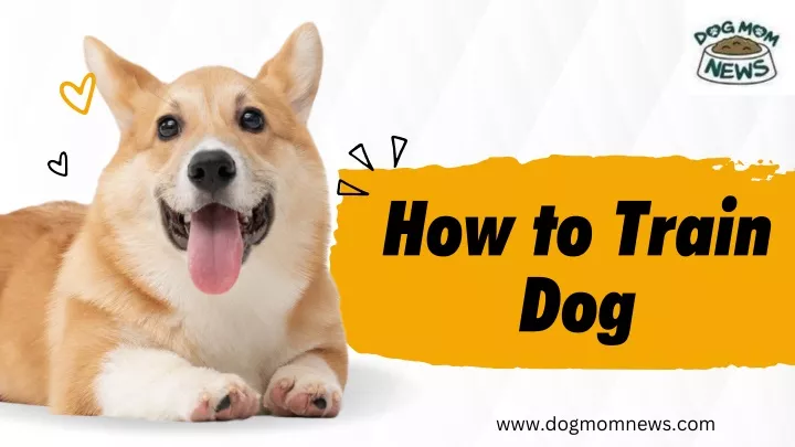 how to train dog