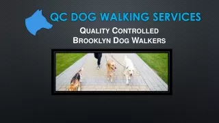 Best Dog Walkers In Brooklyn - QC Dog Walking