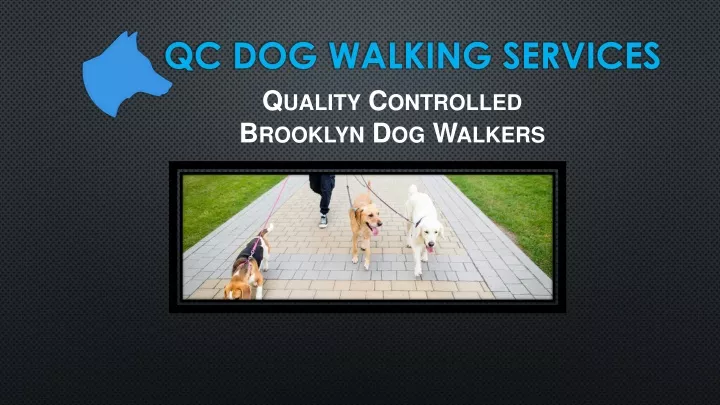 qc dog walking services