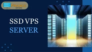 SSD VPS Hosting: Powering Your Digital Success by France Servers