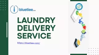 Best Laundry Delivery Services
