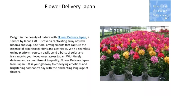 flower delivery japan