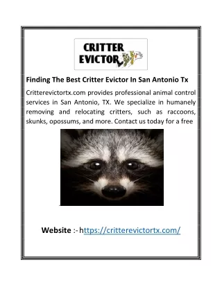 Finding The Best Critter Evictor In San Antonio Tx