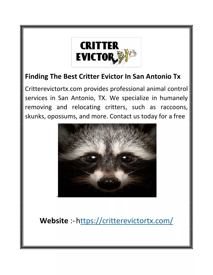 finding the best critter evictor in san antonio tx