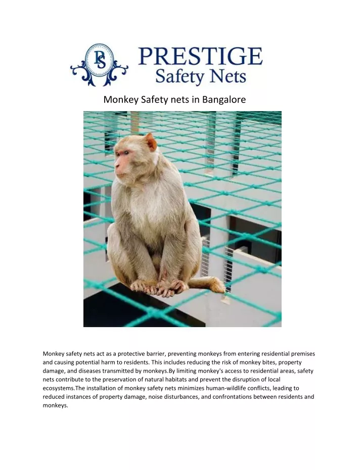 monkey safety nets in bangalore