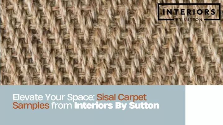 elevate your space sisal carpet samples from