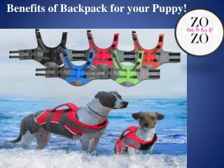 Benefits of Backpack for your Puppy!