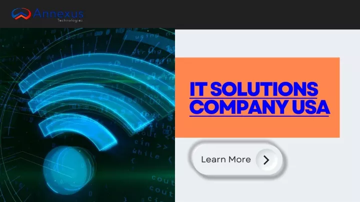 it solutions company usa
