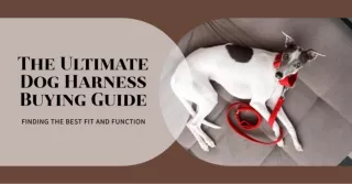 The Ultimate Dog Harness Buying Guide: Finding the Best Fit and Function