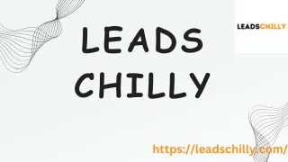 Top email marketing tool | Leads Chilly