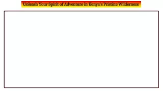 Unleash Your Spirit of Adventure in Kenya's Pristine Wilderness