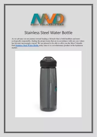 Stainless Steel Water Bottle