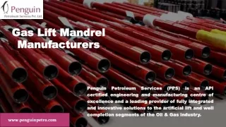 Gas Lift Mandrel Manufacturers