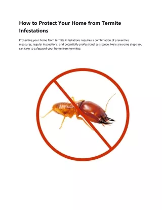 How to Protect Your Home from Termite Infestations