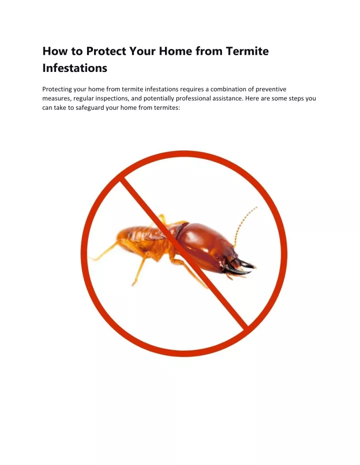 how to protect your home from termite