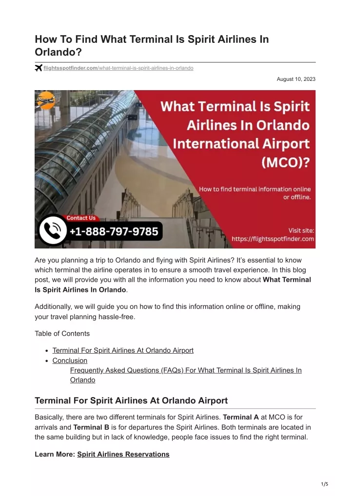 how to find what terminal is spirit airlines